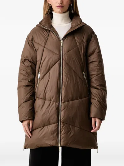 Fracomina Quilted Hooded Puffer Jacket In Brown