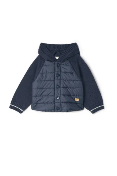 Fragile Babies'  Quilted Hood Coat With Knit Sleeves And Snap Closure In Blue
