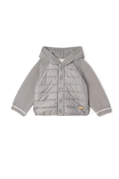 Fragile Babies'  Quilted Hood Coat With Knit Sleeves And Snap Closure In Gray