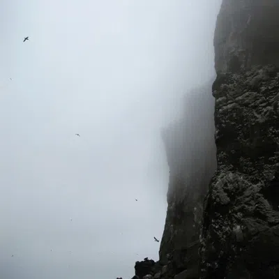 Fragrancehenryrose Fog 10ml In Transparent