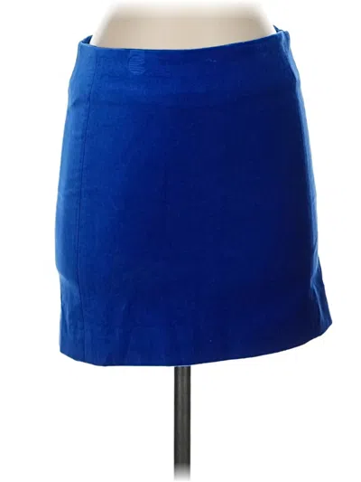 Pre-owned Frame Casual Skirt In Blue