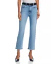 Frame Pencil Crop Ankle Jeans In Lark In Multi