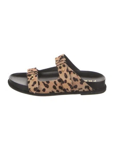 Pre-owned Frame Ponyhair Animal Print Slides In Brown