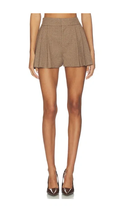 Frame Refract Mini Short In Brown