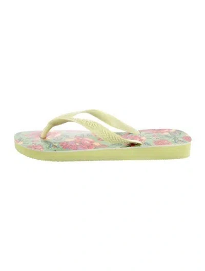 Pre-owned Frame Rubber Floral Print Flip Flops In Green