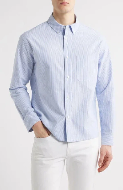 Frame Stripe Cotton Button-down Oxford Shirt In Blue Stripe
