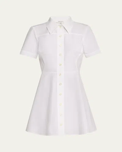 Frame The Flare Mini Dress