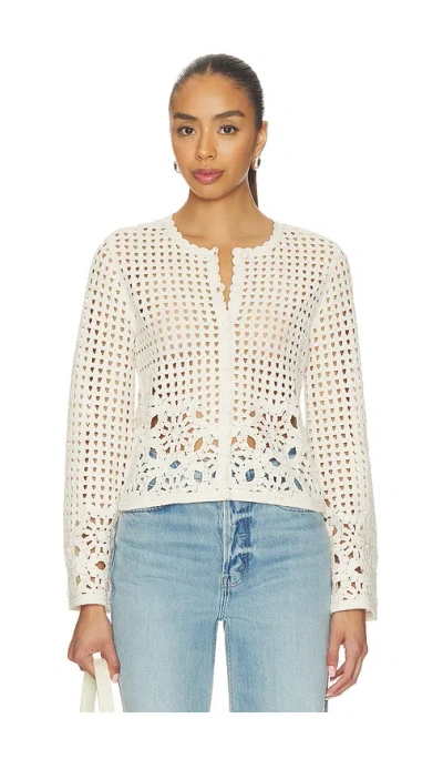 FRAME THE POSTCARD CARDI