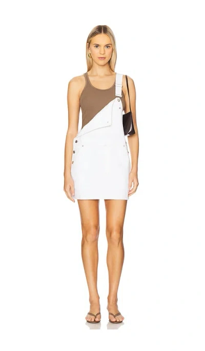 Frame The Skirtall Dress