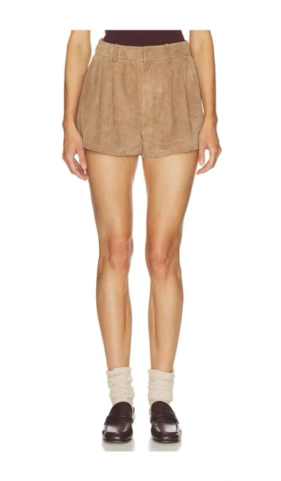 Frame The Slant Short In Brown