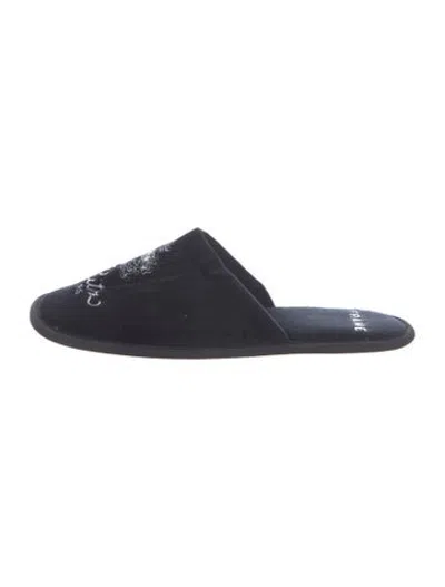 Pre-owned Frame Velvet Graphic Print Slippers In Blue