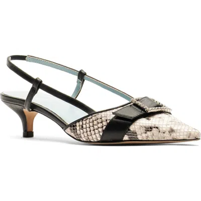 Frances Valentine Cutie Slingback Pointed Toe Kitten Heel Pump In Multi