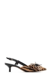Frances Valentine Flower Genuine Calf Hair Kitten Heel Slingback Pump In Zebra Haircalf