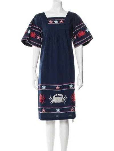 Pre-owned Frances Valentine Graphic Print Knee-length Dress In Blue