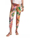 Frances Valentine Lucy Cotton Stretch Pant In Botanical Bash In Multi