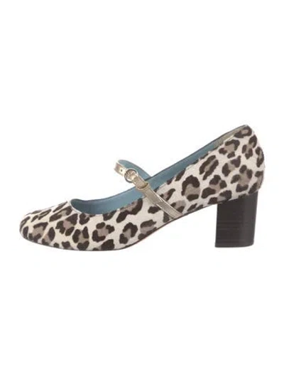 Pre-owned Frances Valentine Ponyhair Animal Print Pumps In Multicolor