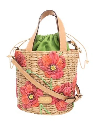 Pre-owned Frances Valentine Raffia Bucket Bag In Brown