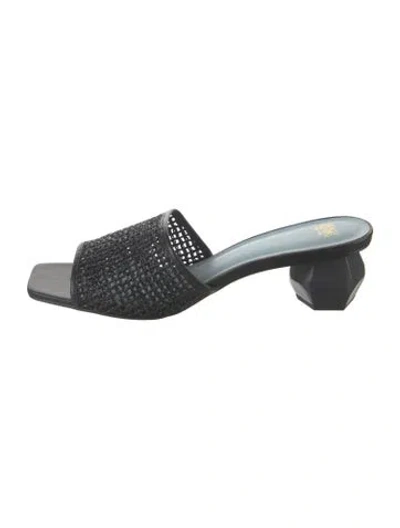 Pre-owned Frances Valentine Raffia Slides In Black