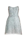 Francesca Miranda Glacier Silk Corset Mini Dress In Smoke Grey