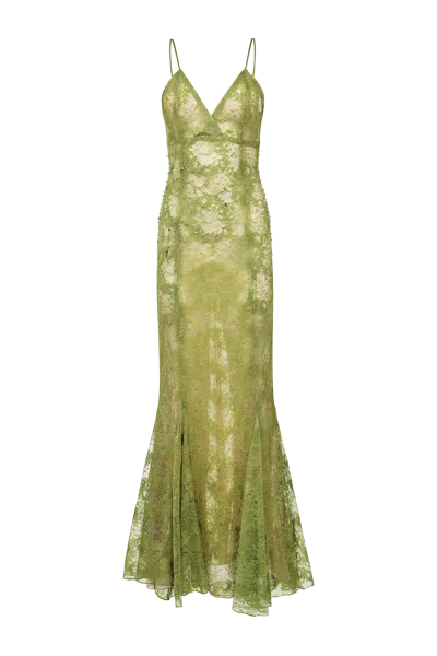 Francesca Miranda Marino Lace Dress In Green