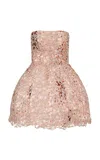 Francesca Miranda Peony Embroidered Silk Blend Mini Dress In Brown