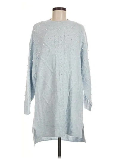 Pre-owned Francesca's Pullover Sweater In Blue