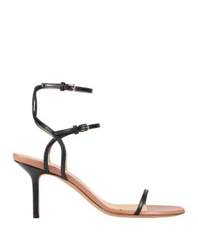 Francesco Russo Footwear - Sandals In Black
