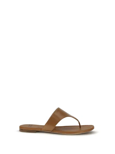 Francesco Russo Leather Thong Sandals In Mou
