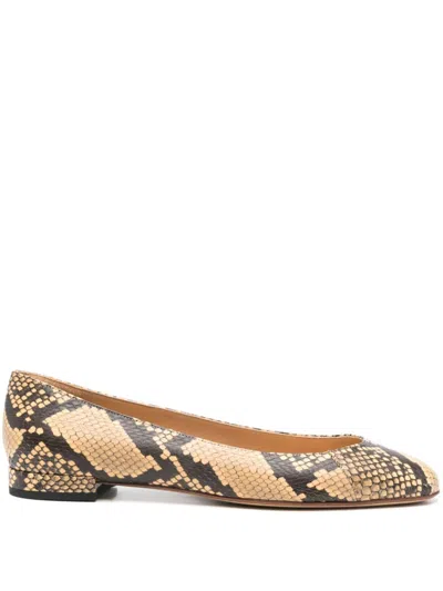 Francesco Russo Python-print Ballerina Shoes In Neutrals