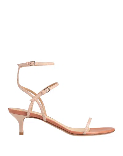 Francesco Russo Sandals In Light Pink