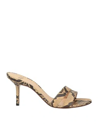 Francesco Russo Woman Sandals Sand Size 9 Leather In Multi