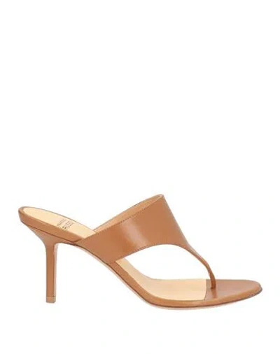 Francesco Russo Woman Thong Sandal Camel Size 11 Leather In Brown