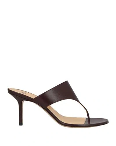 Francesco Russo Woman Thong Sandal Chocolate Brown Size 11 Leather