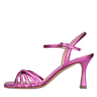 Francesco Sacco Sandals Fuchsia In Fucsia Vivaci