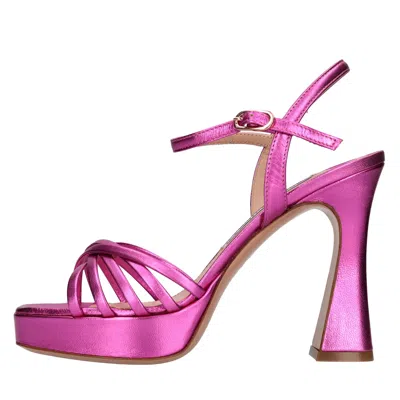 Francesco Sacco Sandals Fuchsia In Fucsia Vivaci