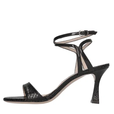 Francesco Sacco Sandals In Black