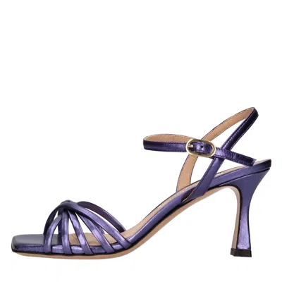 Francesco Sacco Sandals Purple In Viola Scuri