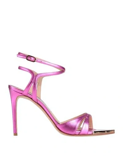 Francesco Sacco Woman Sandals Fuchsia Size 7 Leather In Pink