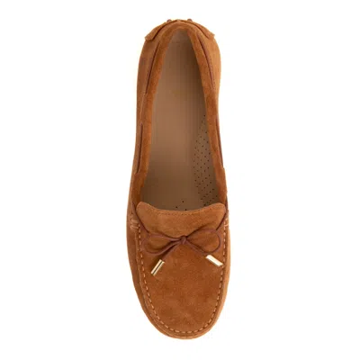 Franchetti Bond Women's Brown Elodie  Toasted Tan Suede