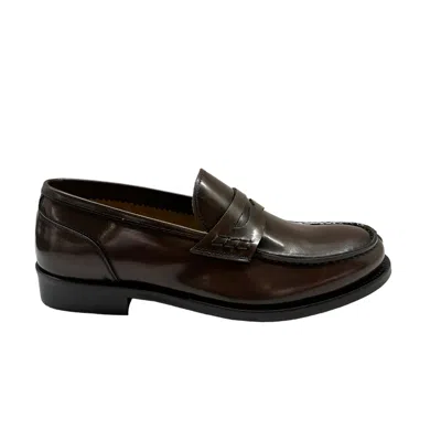 Franco Fedele - City Tmoro Testa Di Moro 6163 In Brown