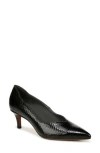 Franco Sarto Aurora Pointed Toe Pump In Black