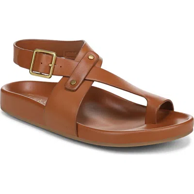 Franco Sarto Blair Ankle Strap Platform Sandal In Brown