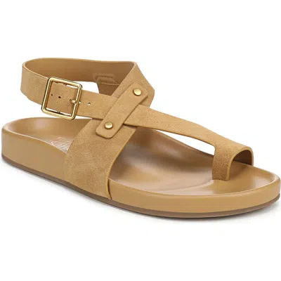 Franco Sarto Blair Ankle Strap Platform Sandal In Brown