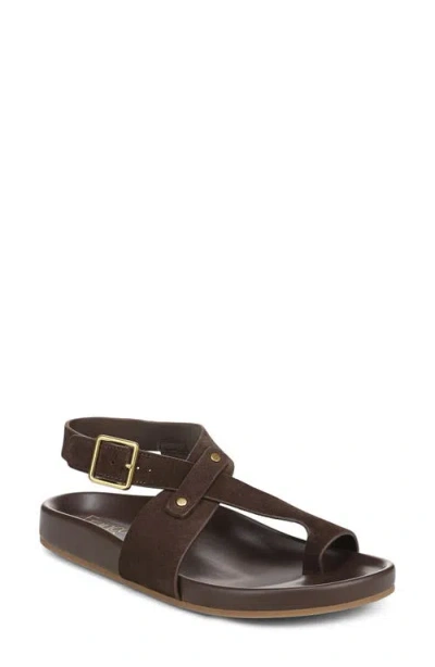 Franco Sarto Blair Ankle Strap Platform Sandal In Brown