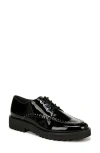Franco Sarto Charles Patent Derby In Black Multi