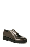 Franco Sarto Charles Patent Derby In Grey Multi