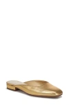 Franco Sarto Dayla Mule