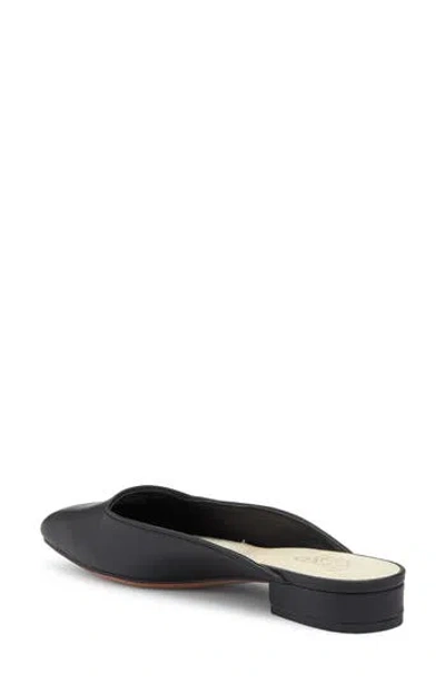 Franco Sarto Dayla Mule
