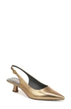 Franco Sarto Jaden Pointed Toe Slingback Pump In Brown