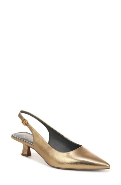 Franco Sarto Jaden Pointed Toe Slingback Pump In Brown